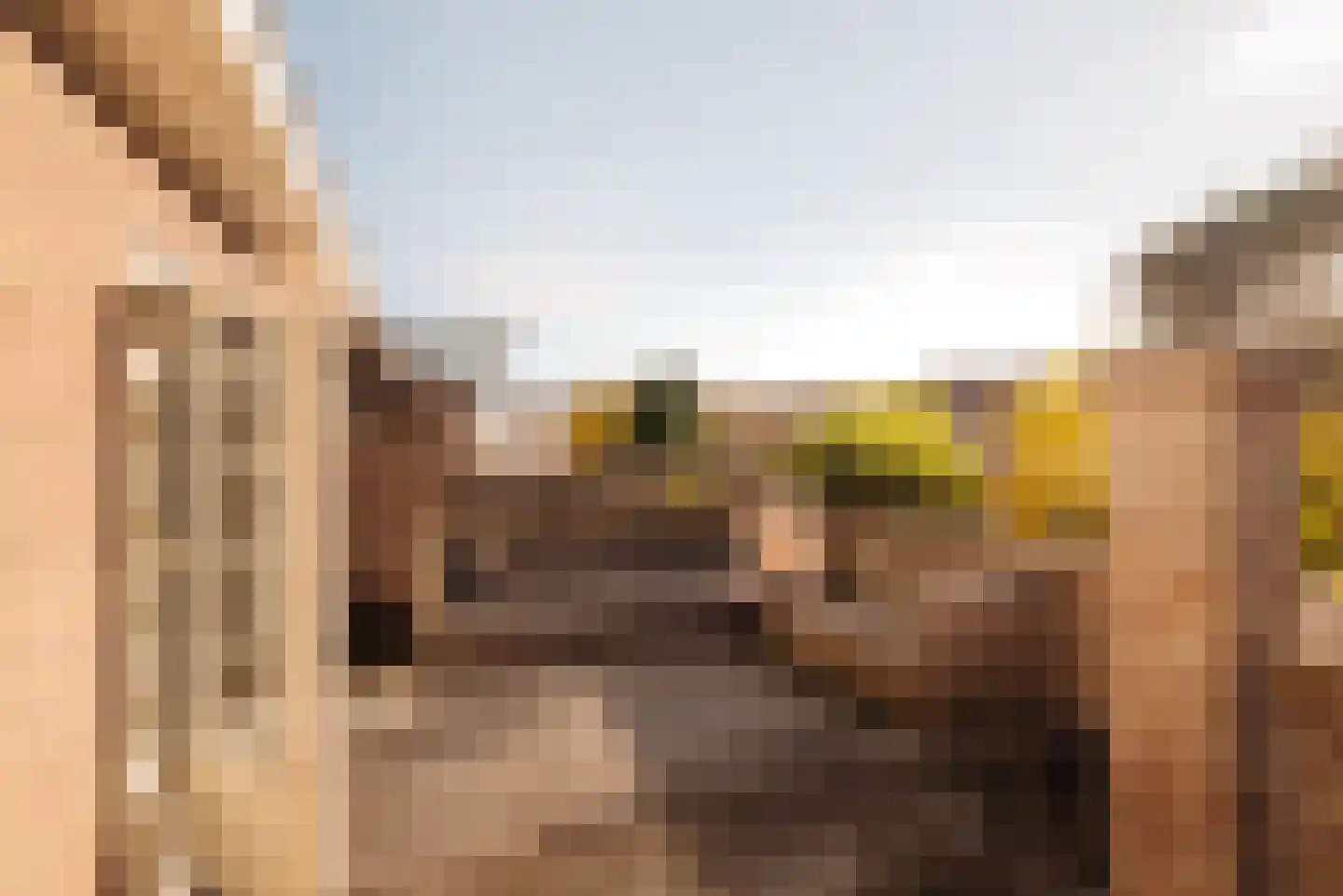 Chopinstraat 29 Amsterdam thumbnail 36