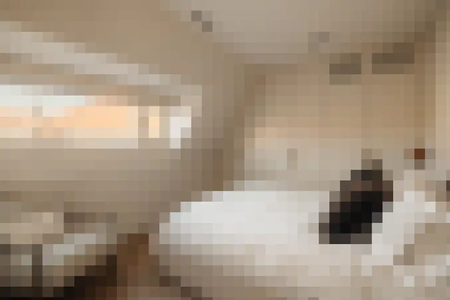 Chopinstraat 29 Amsterdam thumbnail 37