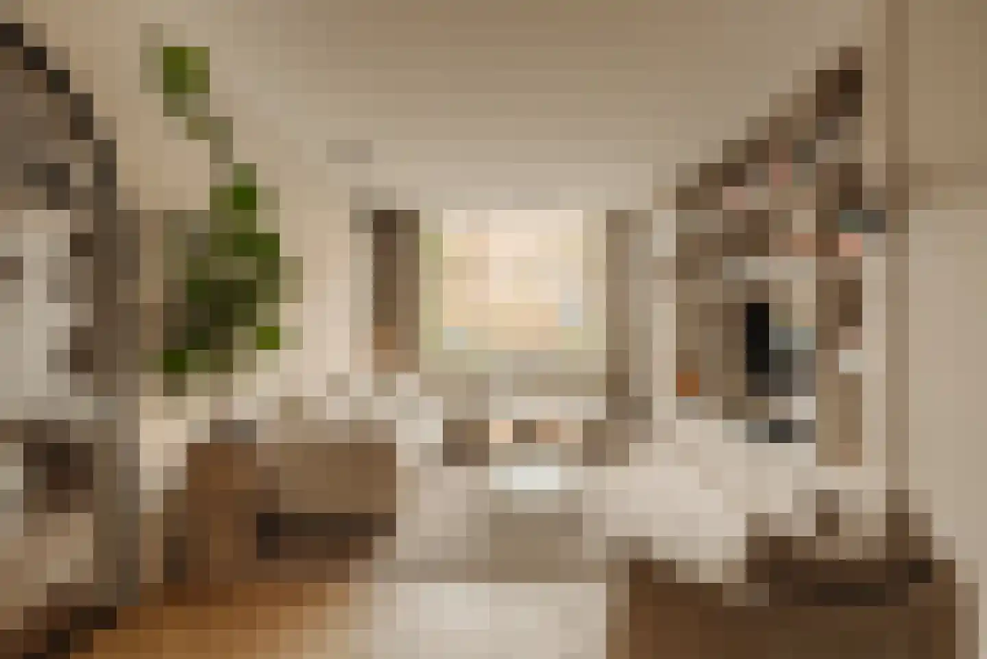 Chopinstraat 29 Amsterdam thumbnail 4