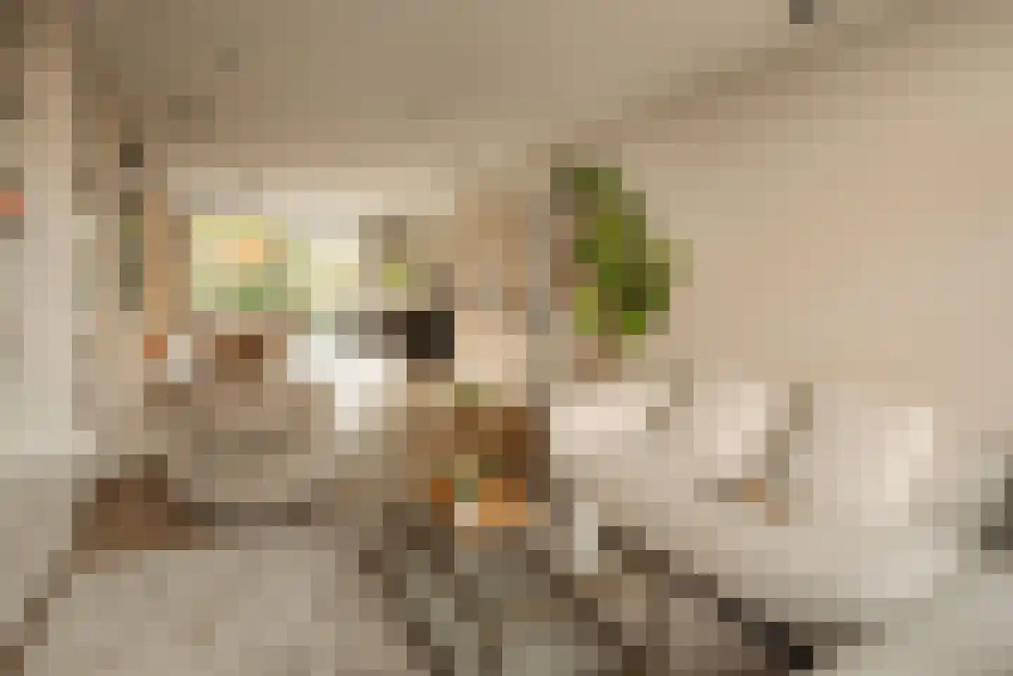 Chopinstraat 29 Amsterdam thumbnail 5