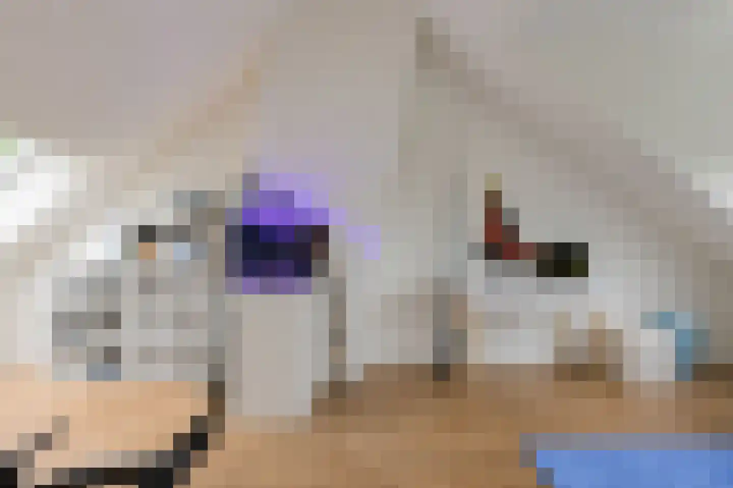Chopinstraat 29 Breda thumbnail 26