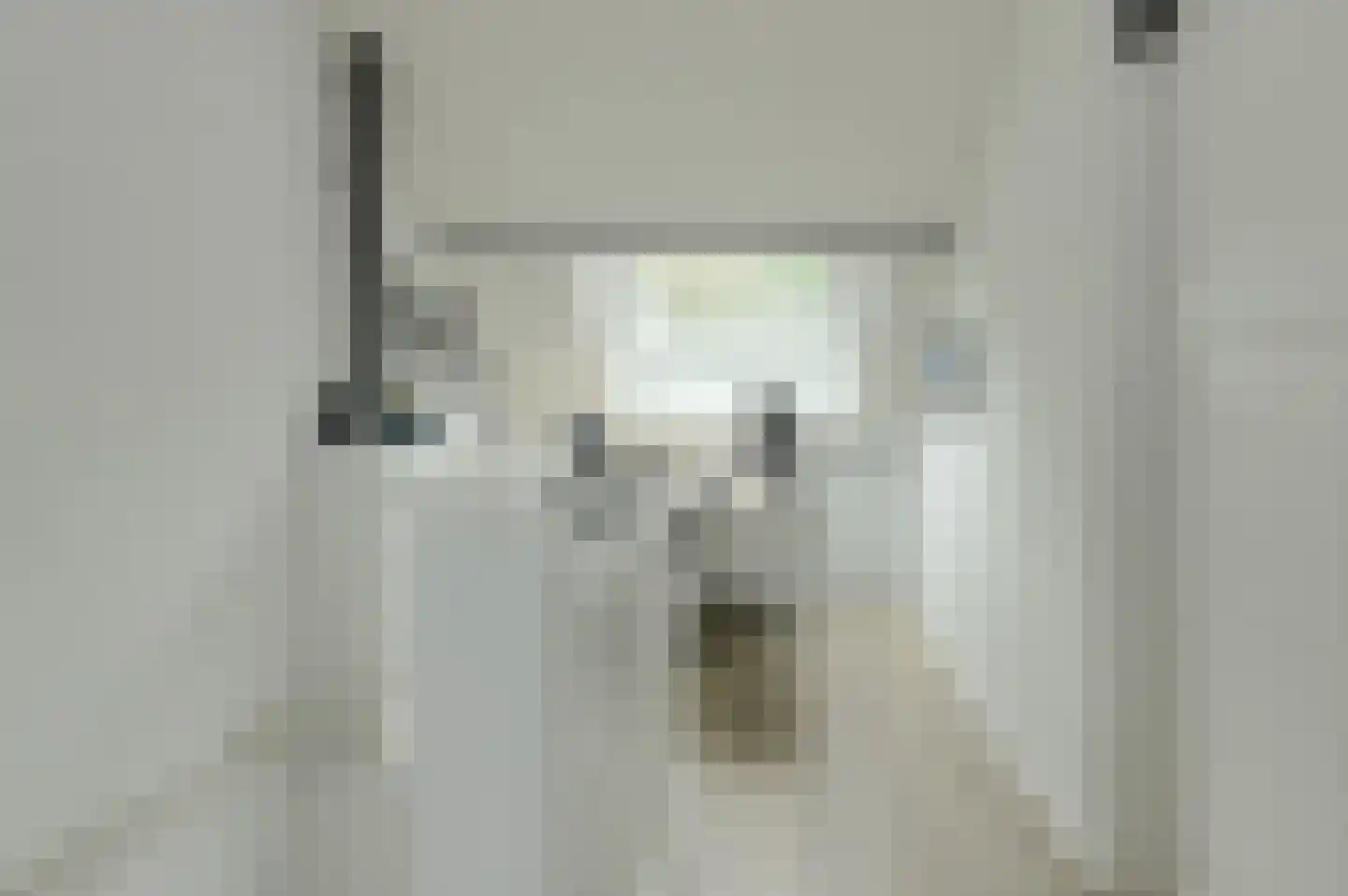 Chopinstraat 29 Breda thumbnail 32