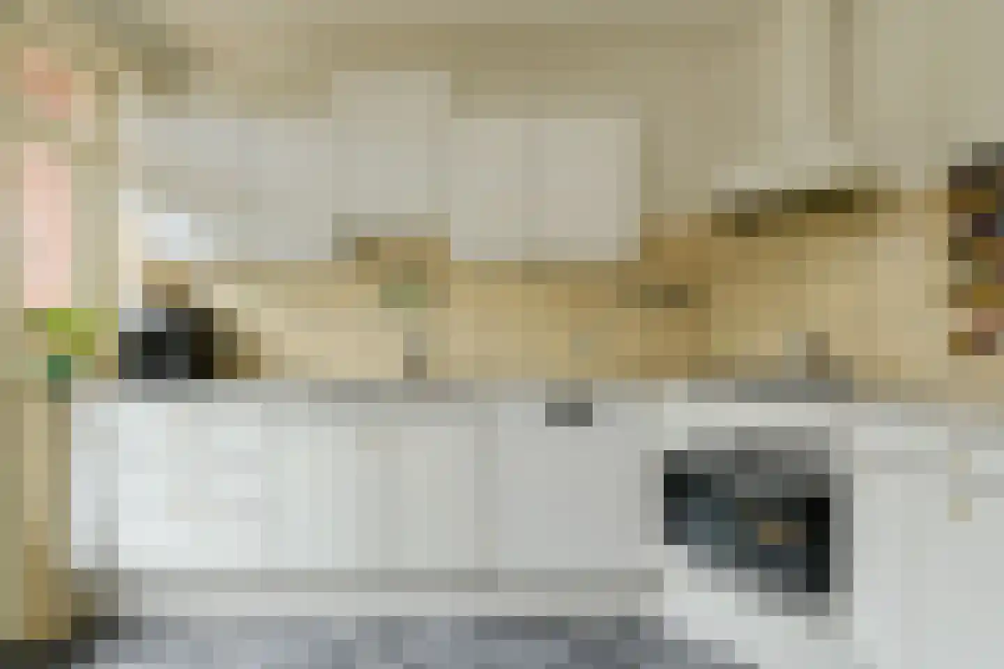 Chopinstraat 29 Breda thumbnail 8