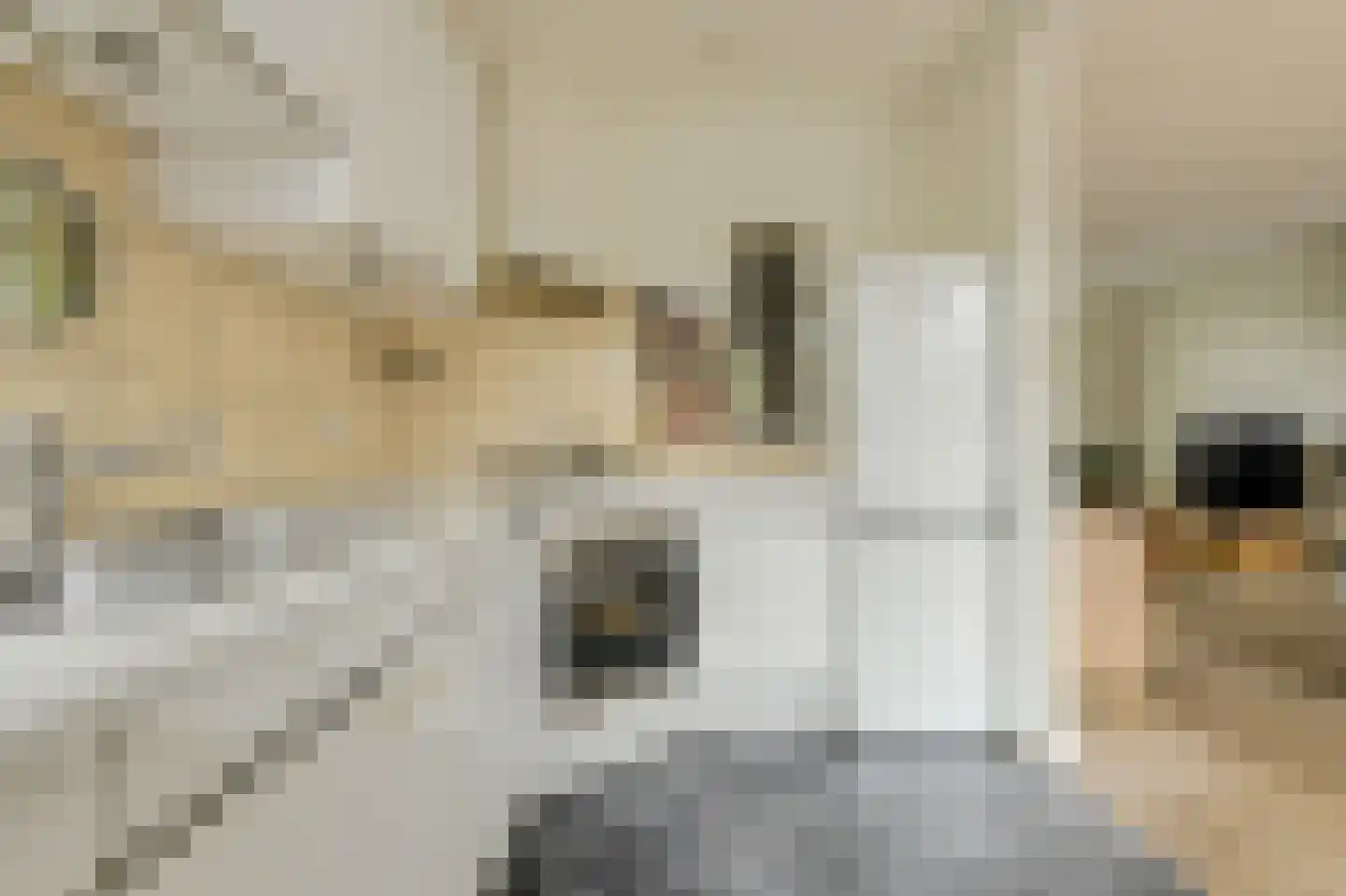 Chopinstraat 29 Breda thumbnail 9