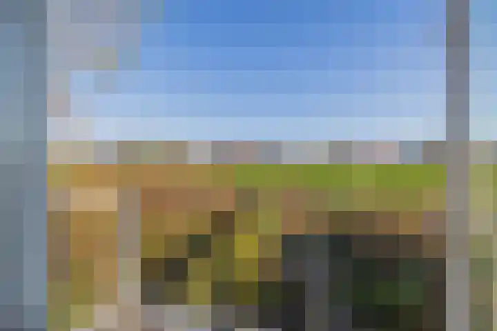 Chopinstraat 29 Lisse thumbnail 13