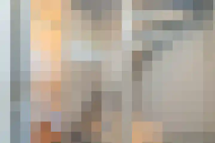 Chopinstraat 29 Lisse thumbnail 14
