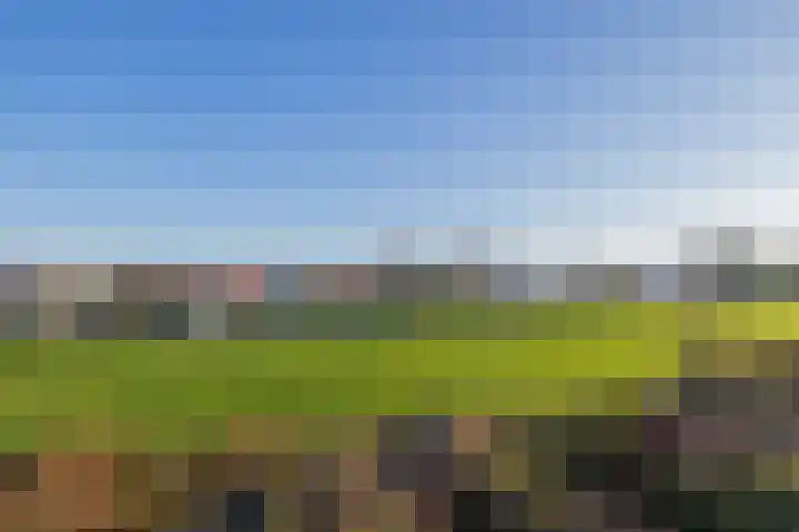Chopinstraat 29 Lisse thumbnail 22