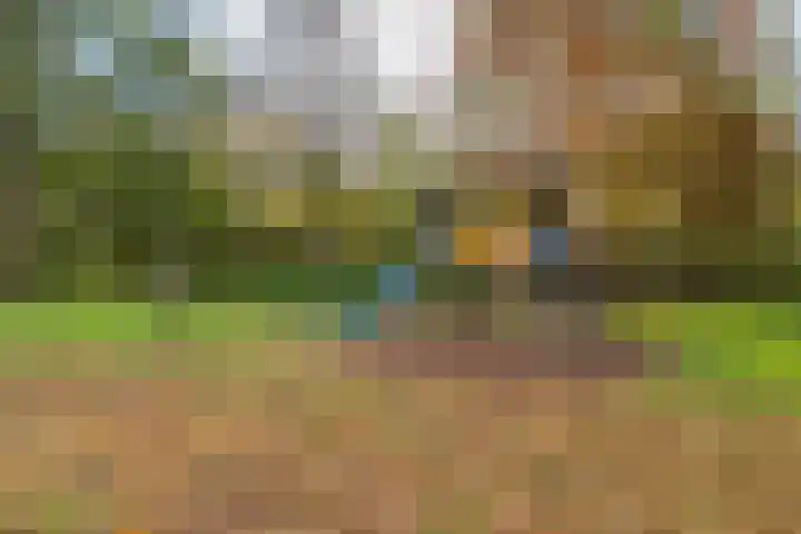 Chopinstraat 29 Lisse thumbnail 23