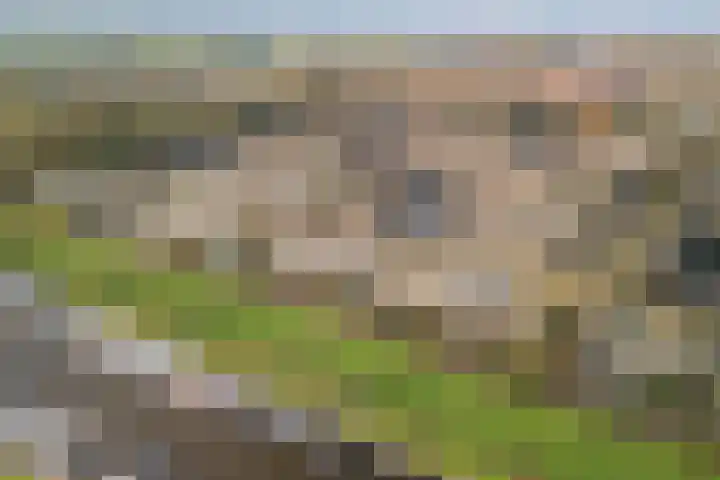 Chopinstraat 29 Lisse thumbnail 24