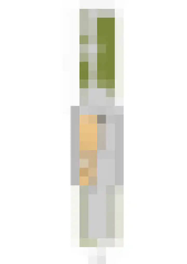 Chopinstraat 29 Lisse thumbnail 28