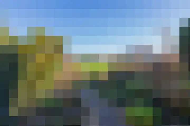 Chopinstraat 29 Lisse thumbnail 8