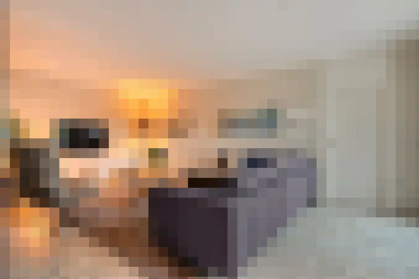 Chopinstraat 3 Haaksbergen thumbnail 16