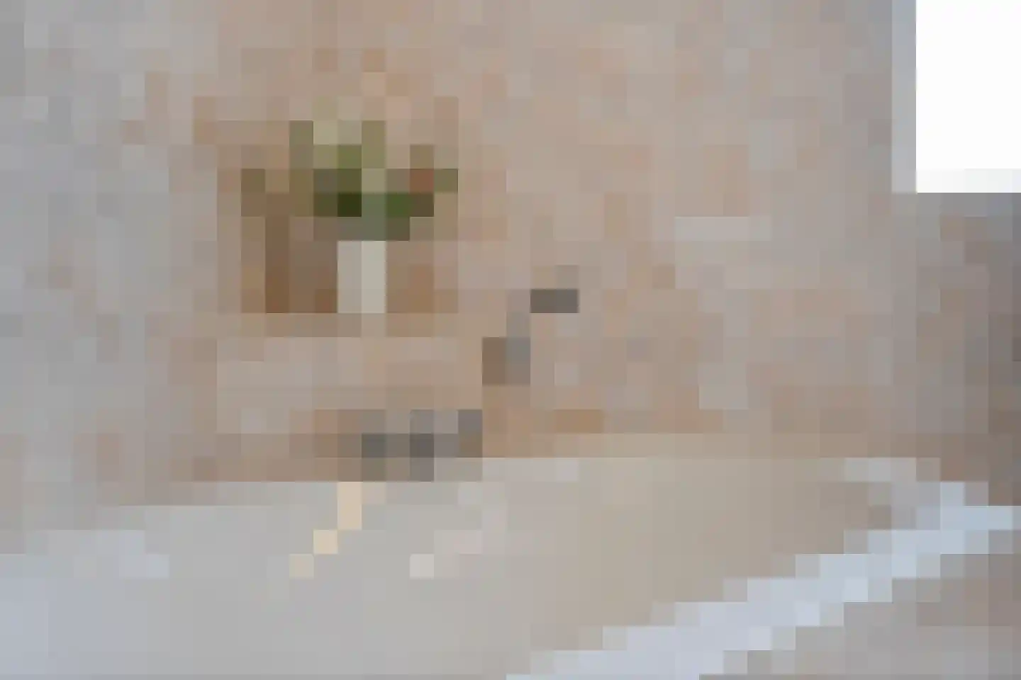 Chopinstraat 3 Haaksbergen thumbnail 35