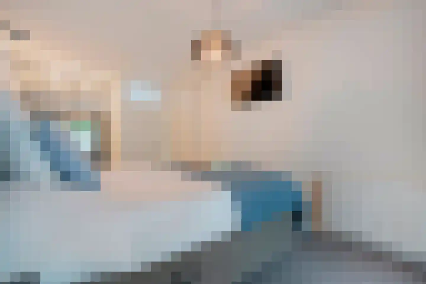 Chopinstraat 3 Haaksbergen thumbnail 37