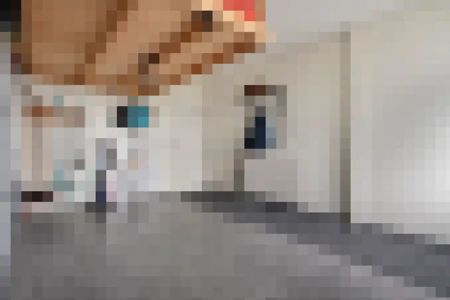 Chopinstraat 3 Haaksbergen thumbnail 43