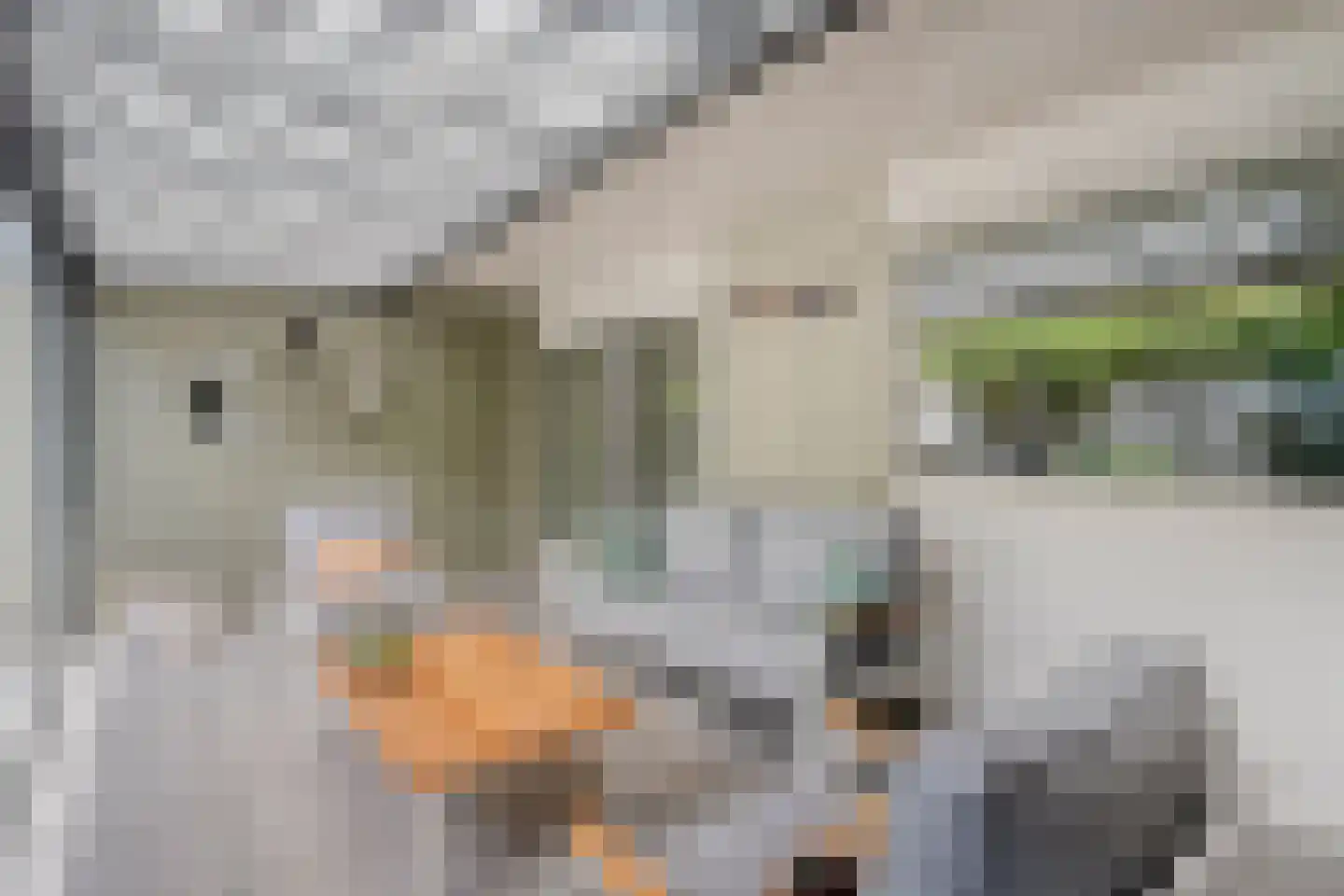 Chopinstraat 3 Haaksbergen thumbnail 45