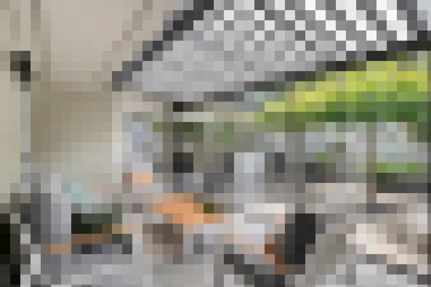 Chopinstraat 3 Haaksbergen thumbnail 46