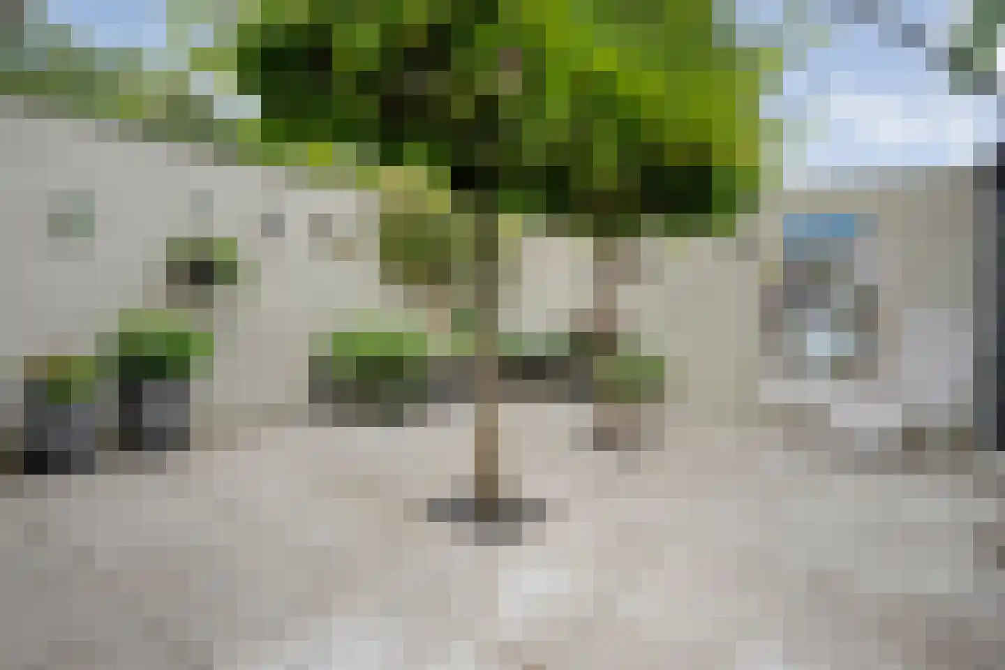 Chopinstraat 3 Haaksbergen thumbnail 51