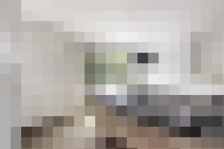 Chopinstraat 3 Hengelo thumbnail 17