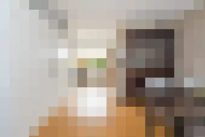 Chopinstraat 3 Losser thumbnail 11