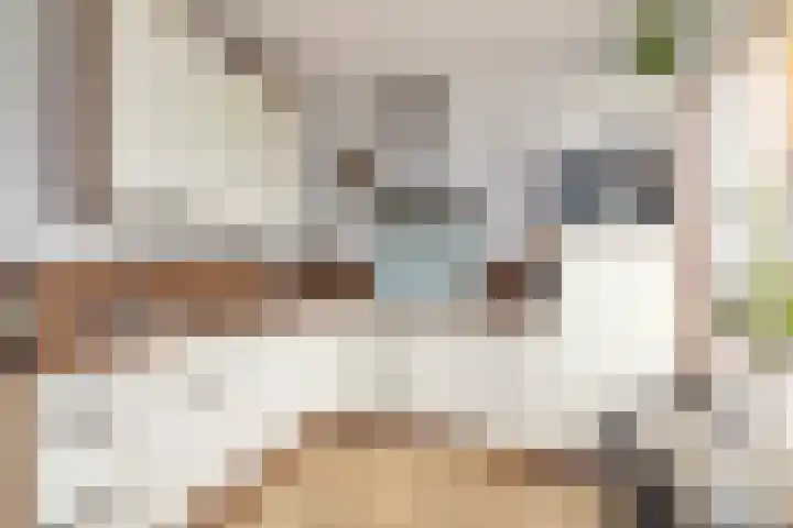 Chopinstraat 3 Losser thumbnail 13