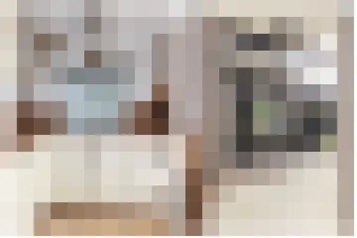 Chopinstraat 3 Losser thumbnail 16