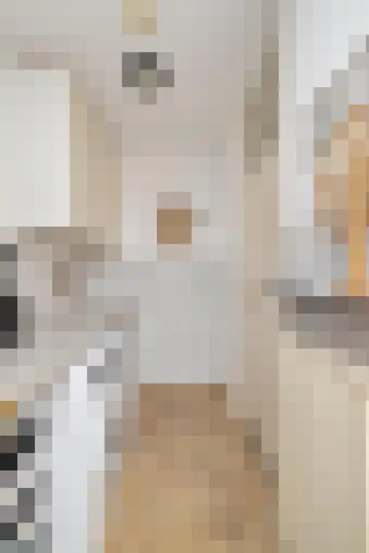 Chopinstraat 3 Losser thumbnail 18