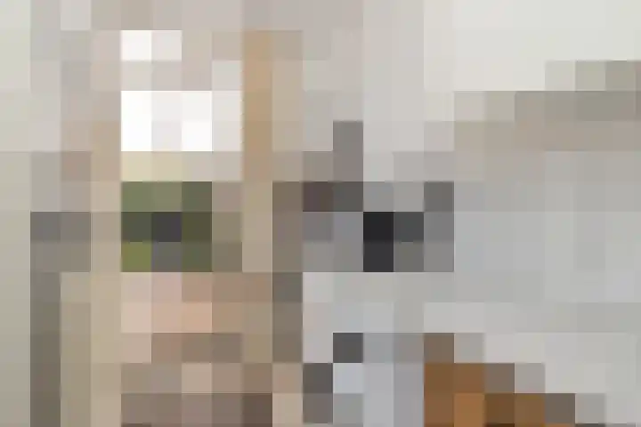 Chopinstraat 3 Losser thumbnail 20
