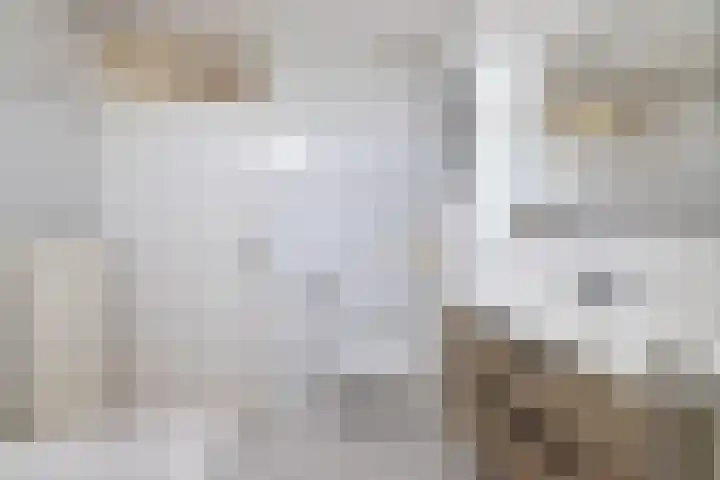 Chopinstraat 3 Losser thumbnail 31