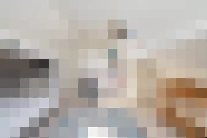 Chopinstraat 3 Losser thumbnail 36