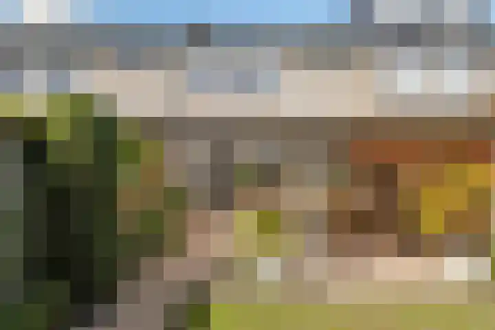 Chopinstraat 3 Losser thumbnail 38