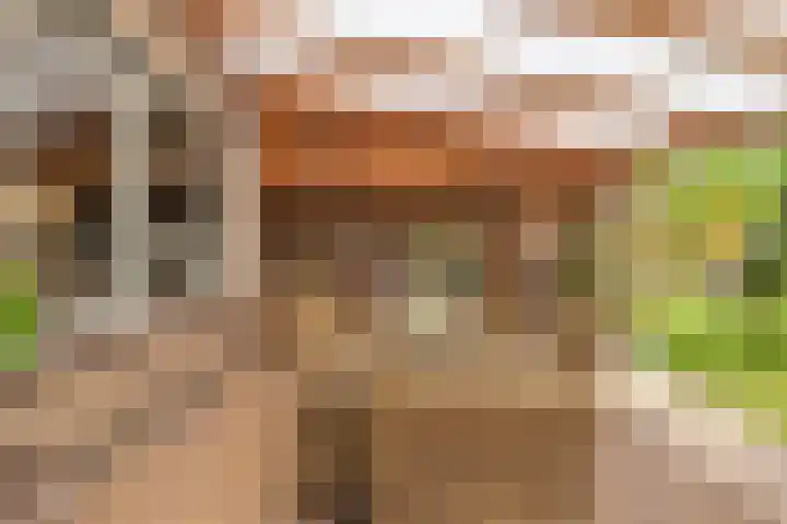Chopinstraat 3 Losser thumbnail 39