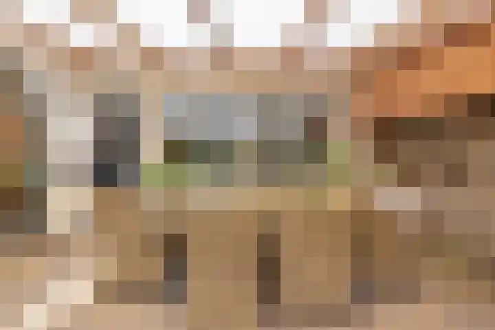 Chopinstraat 3 Losser thumbnail 40