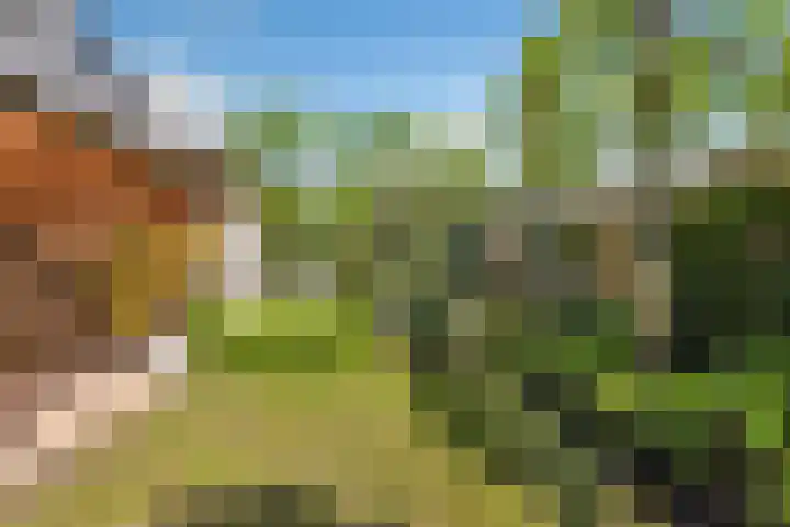 Chopinstraat 3 Losser thumbnail 42