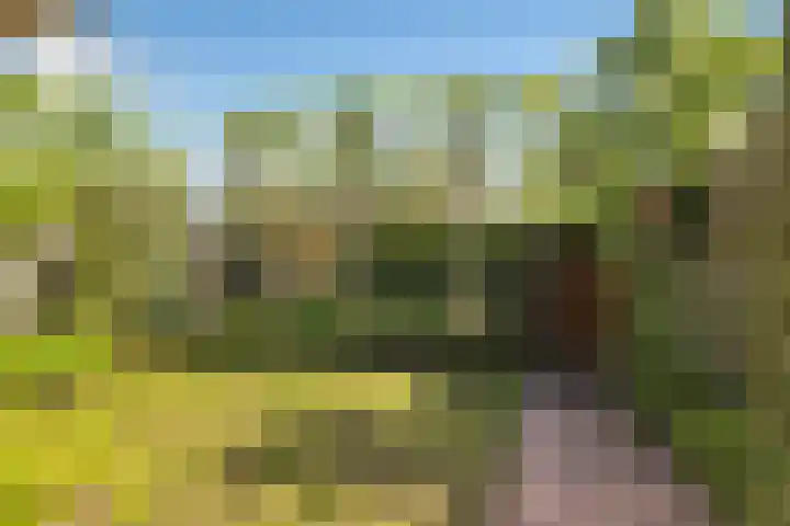Chopinstraat 3 Losser thumbnail 43