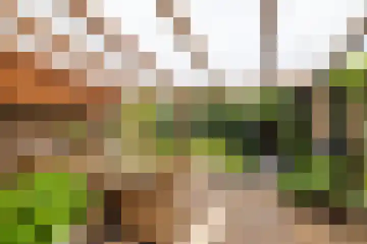Chopinstraat 3 Losser thumbnail 44