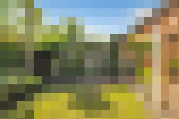 Chopinstraat 3 Losser thumbnail 45