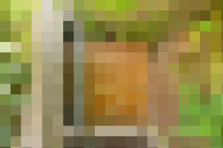 Chopinstraat 3 Losser thumbnail 46