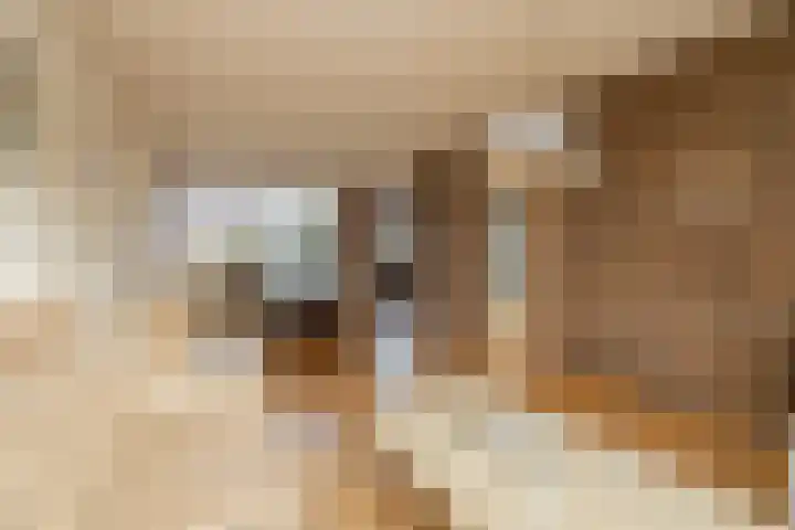 Chopinstraat 3 Naaldwijk thumbnail 11