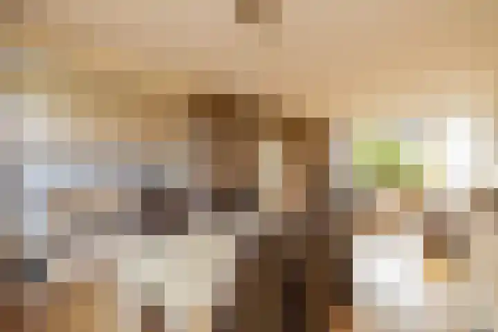 Chopinstraat 3 Naaldwijk thumbnail 13