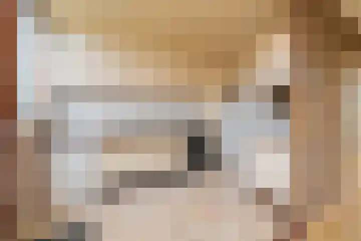 Chopinstraat 3 Naaldwijk thumbnail 14