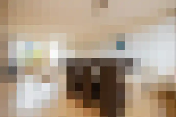 Chopinstraat 3 Naaldwijk thumbnail 15
