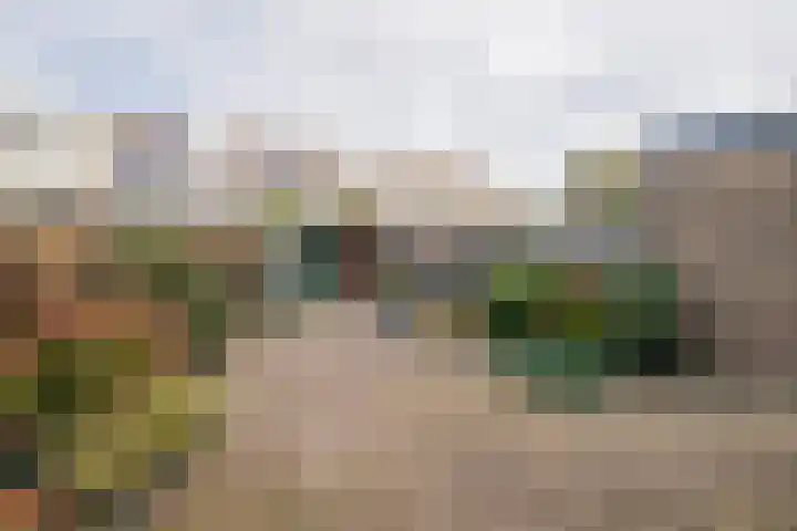 Chopinstraat 3 Naaldwijk foto 3