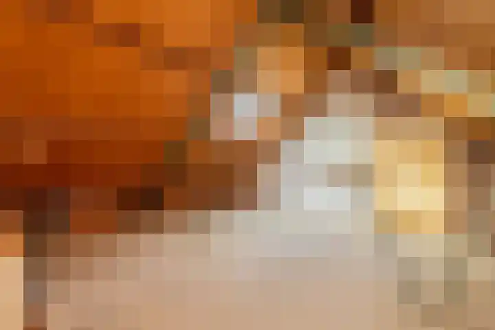 Chopinstraat 3 Naaldwijk thumbnail 30
