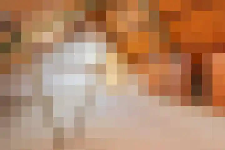 Chopinstraat 3 Naaldwijk thumbnail 31