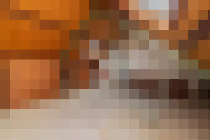 Chopinstraat 3 Naaldwijk thumbnail 32