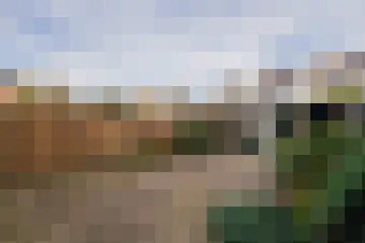Chopinstraat 3 Naaldwijk thumbnail 34