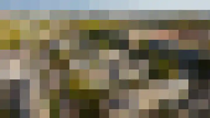 Chopinstraat 3 Naaldwijk thumbnail 42