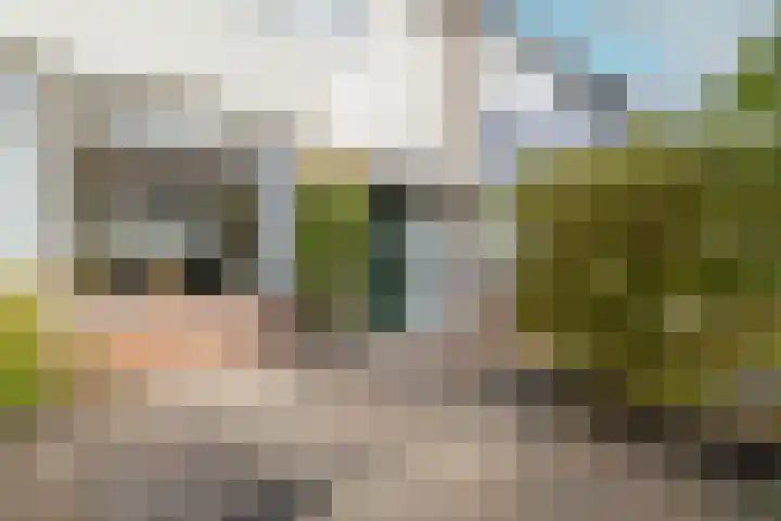 Chopinstraat 3 Naaldwijk thumbnail 6