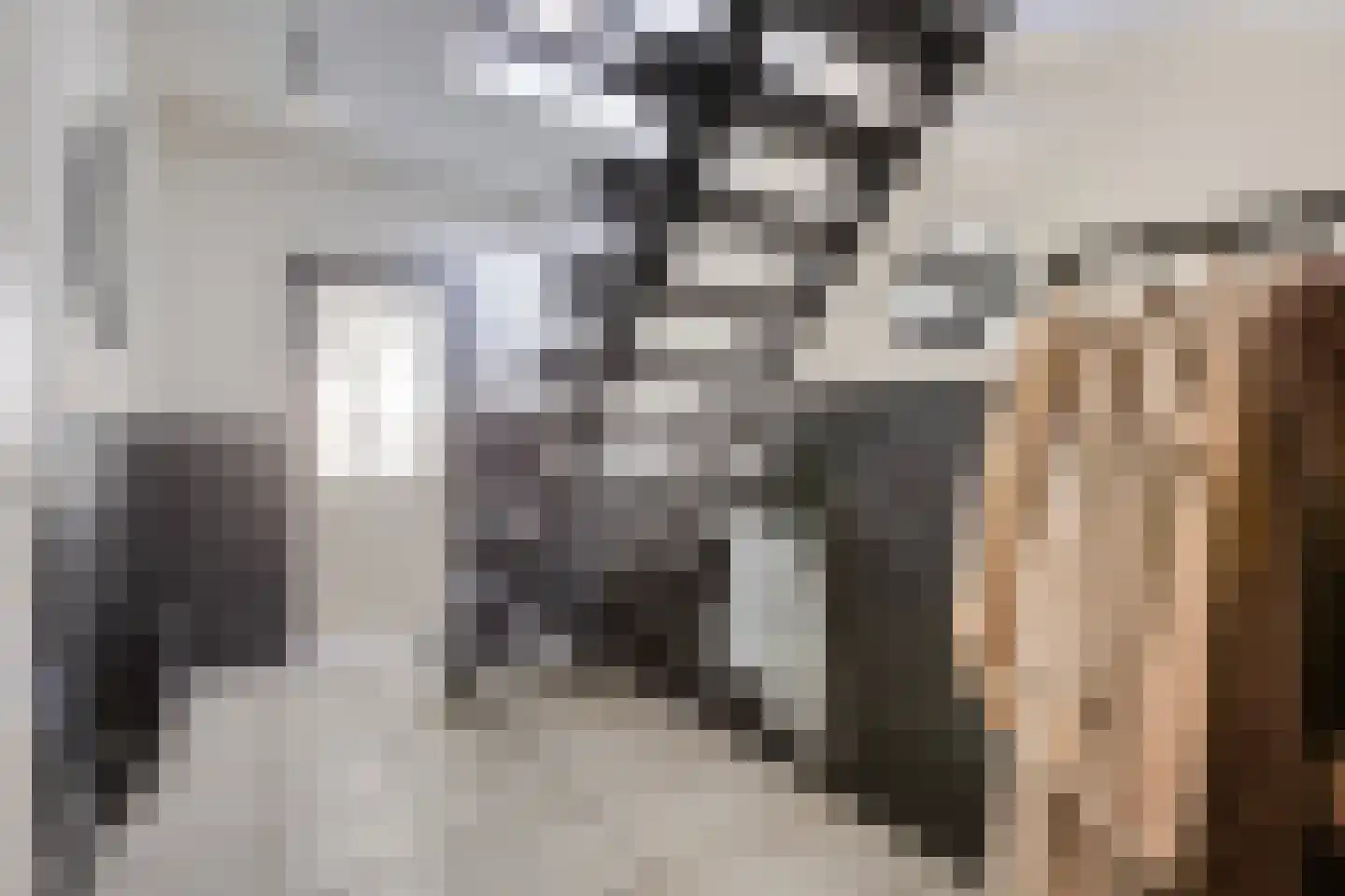 Chopinstraat 30 Tilburg thumbnail 12